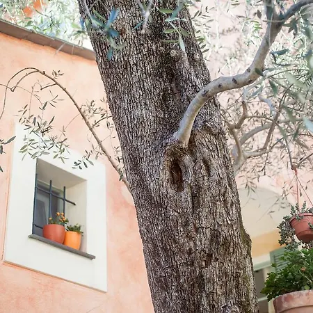 I Freschi Appartement San Bartolomeo Al Mare