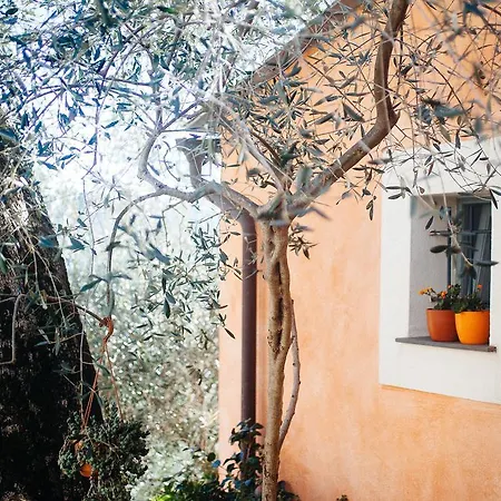 I Freschi Apartment