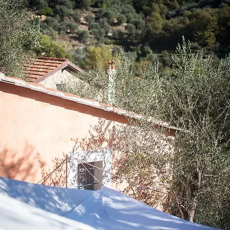 I Freschi 산토바르톨로메오알마레