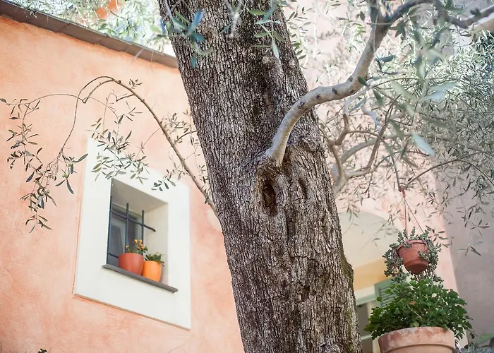 I Freschi Daire San Bartolomeo Al Mare
